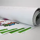 MANIFESTI.webp